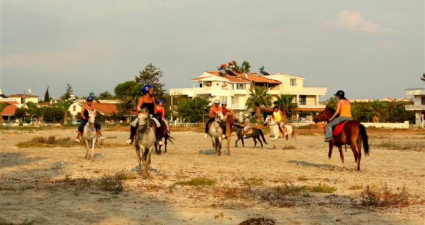 Horse Safari