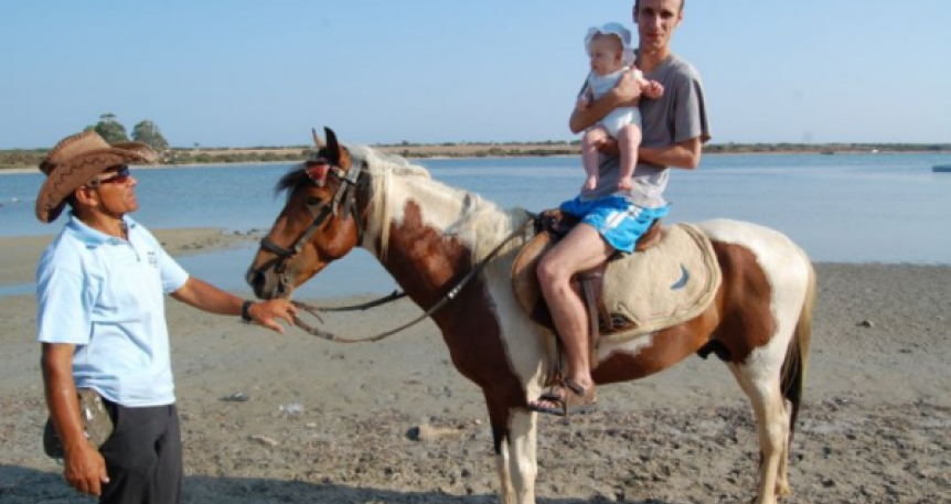 Horse Safari