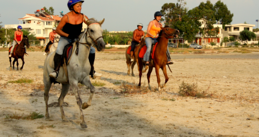 Horse Safari