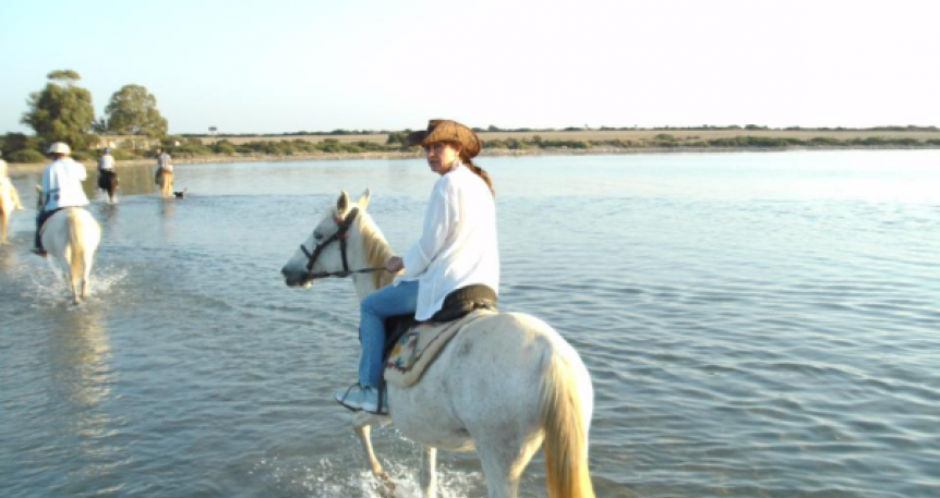 Horse Safari