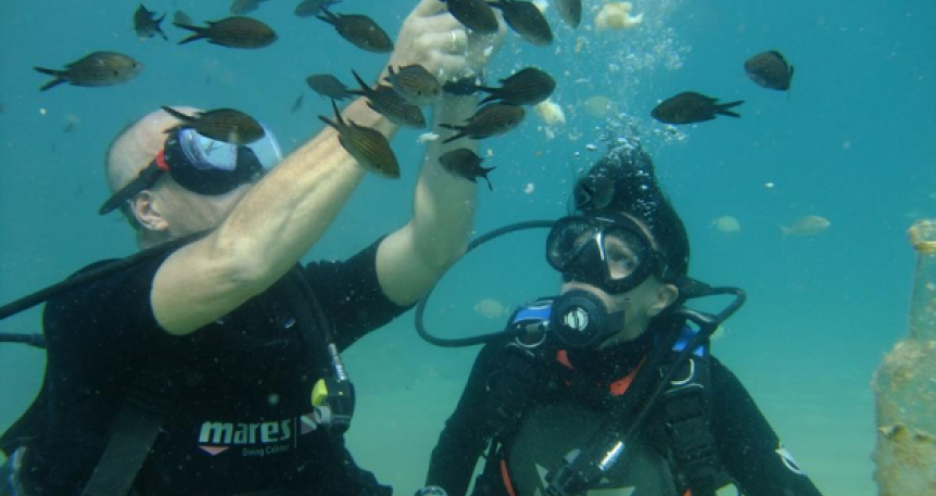 Scuba Diving