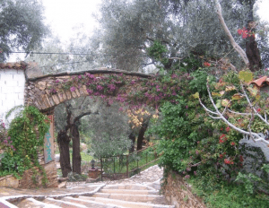 Bafa Natura Hotel